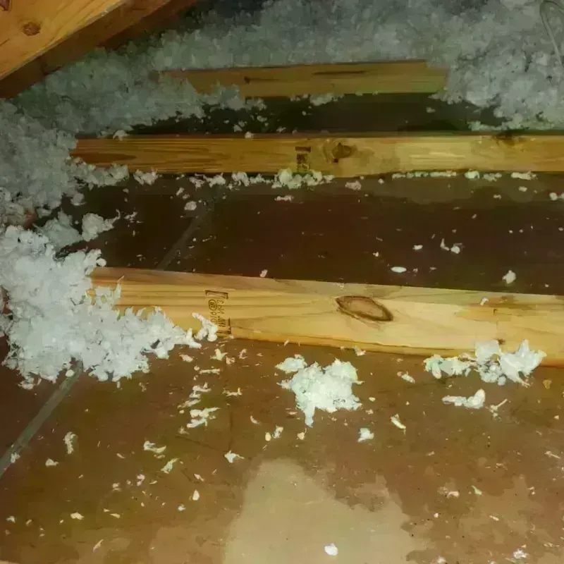 Attic Water Damage in Hana, HI